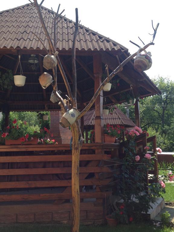 Pensiunea Maramures ออคนาชูกาแต็ก ภายนอก รูปภาพ